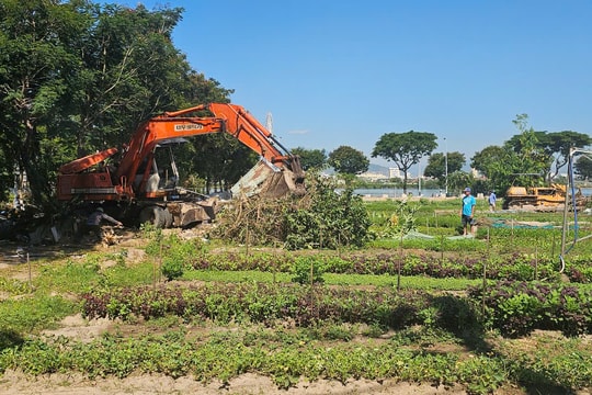 Sớm triển khai dự án Khu Tổ hợp công trình phục vụ Lễ hội pháo hoa quốc tế Đà Nẵng