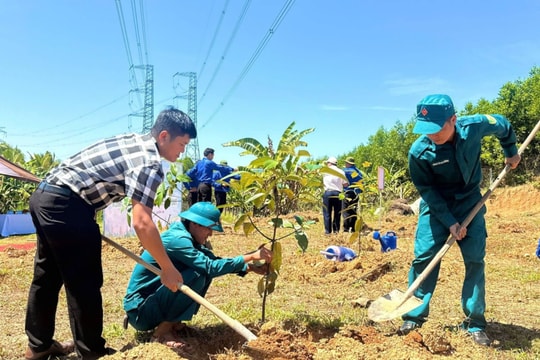 Điểm tựa từ vườn cây sinh kế