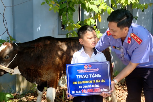 Tặng bò giống cho các gia đình khó khăn ở xã Gò Nổi