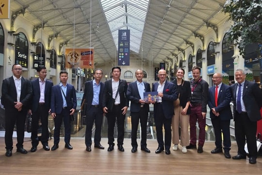 Da Nang, France step up cooperation in urban development and public transport
