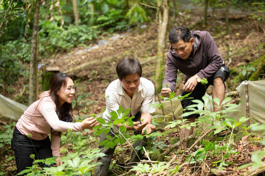 Mở sinh kế du lịch dưới tán rừng