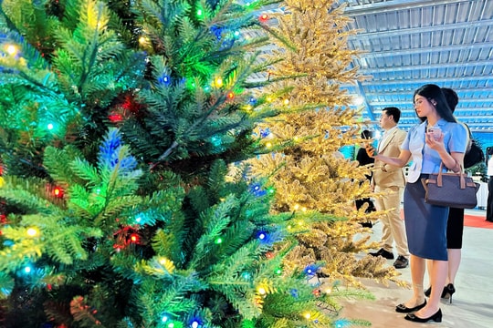 Aurio Greenery opens new factory in Bac Chu Lai IP, Da Nang