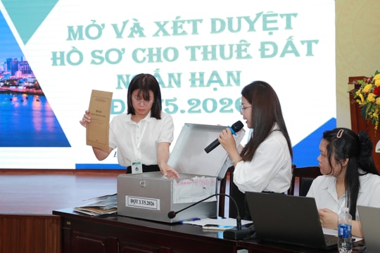Đà Nẵng cho thuê ngắn hạn 14 khu đất ở các phường Sơn Trà và Hòa Xuân