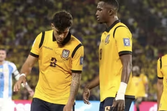 Hồ sơ tuyển Ecuador tại World Cup 2026: 'Bê tông' Nam Mỹ và tham vọng ngựa ô