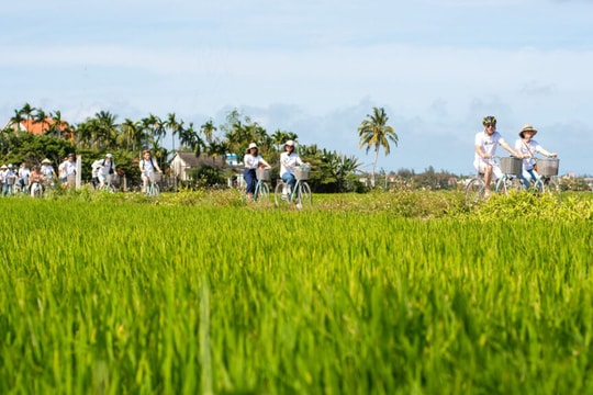 Wecyc Week - Hoi An 2026 set on June 6 - 7