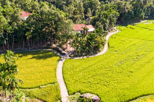 Nông nghiệp hữu cơ mở lối du lịch cộng đồng
