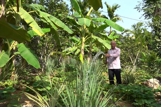 Ngành nông nghiệp Đà Nẵng chủ động chống hạn cho cây trồng