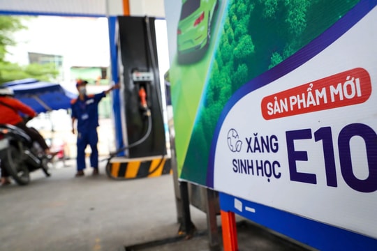 Giá xăng dầu hôm nay 11/6: GIANGNAMPETROL, Petrolimex, PVOIL Mipec