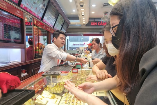 Giá vàng hôm nay 15/6/2026: Giá vàng miếng, nhẫn trơn SJC 9999 và vàng thế giới