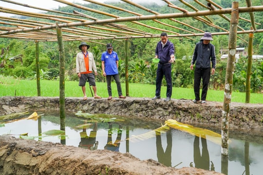 Mở hướng làm kinh tế cho vùng cao