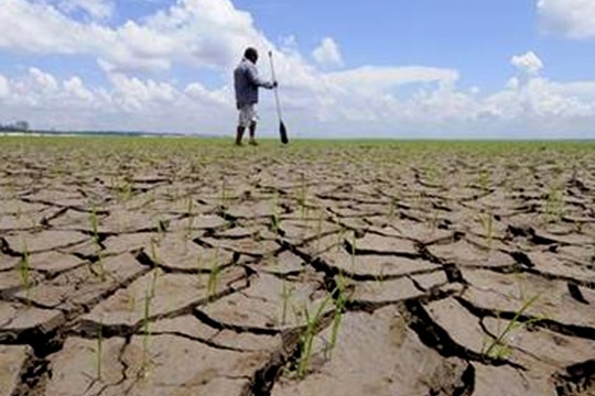 Đông Nam Á dễ tổn thương trước El Nino