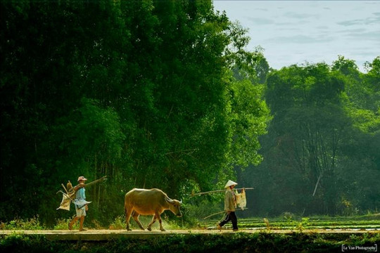 [Podcast] - Bâng quơ khói nắng