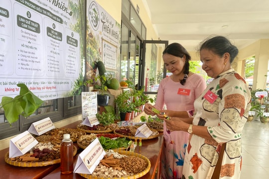 Hội Đông y Đà Nẵng tập huấn chuyên sâu và cập nhật chính sách dược liệu cho hội viên