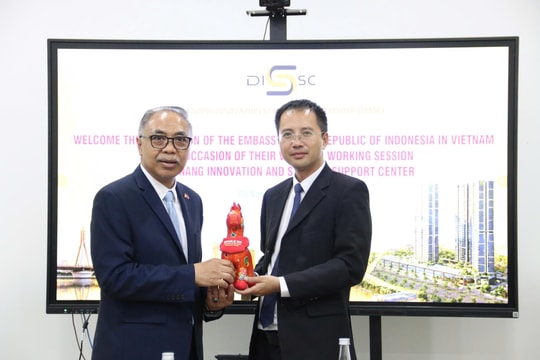 Thúc đẩy kết nối hệ sinh thái khởi nghiệp đổi mới sáng tạo giữa Đà Nẵng và Indonesia