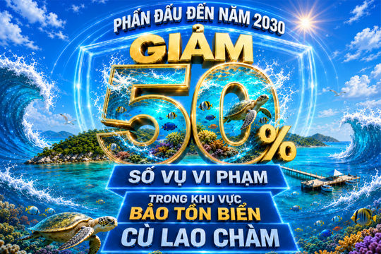 Phấn đấu đến năm 2030, giảm 50% số vụ vi phạm trong khu vực bảo tồn biển Cù Lao Chàm