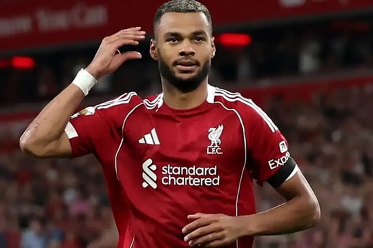 Liverpool từ chối Tottenham: Cody Gakpo không phải để bán sau World Cup 2026