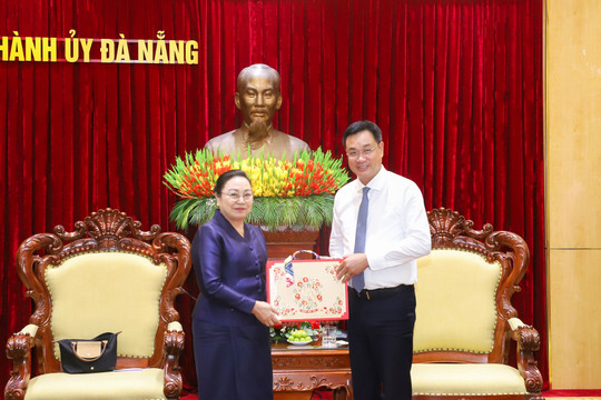 Da Nang fosters comprehensive cooperation with south-central Lao provinces