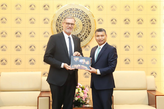 Da Nang steps up cooperation with France and the Philippines