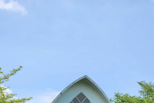 "Tây Nguyên thu nhỏ" giữa lòng Củ Chi