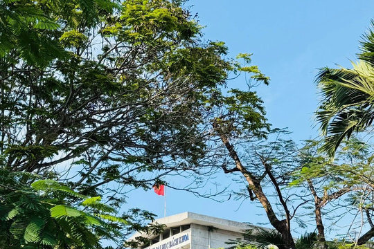 Khẽ chạm thanh xuân