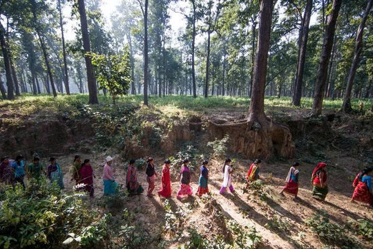 Tín chỉ carbon từ “bể chứa” Nepal