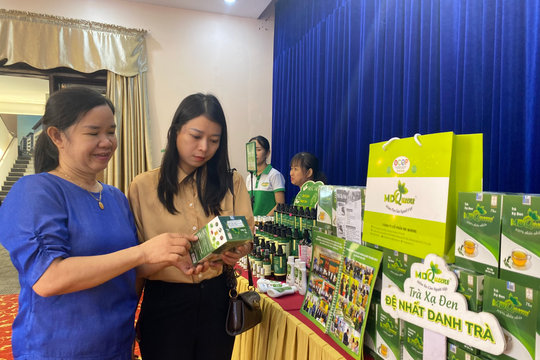 Thúc đẩy các mô hình sản xuất do phụ nữ quản lý thích ứng biến đổi khí hậu