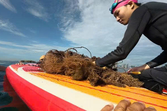 Saving coral, protecting marine ecosystem