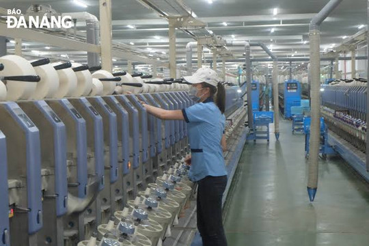 Da Nang's economy maintains solid growth momentum