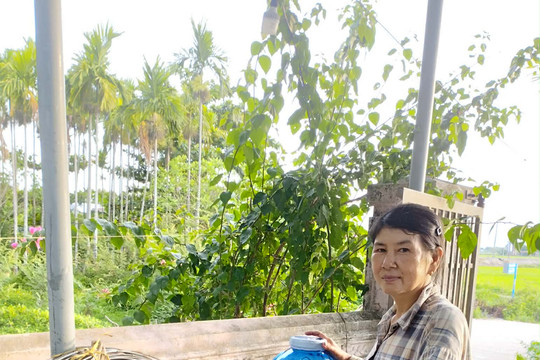 Khổ vì nước sinh hoạt nhiễm mặn kéo dài