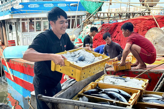 Tập trung triển khai nghiêm túc, có hiệu quả các nhiệm vụ chống khai thác IUU