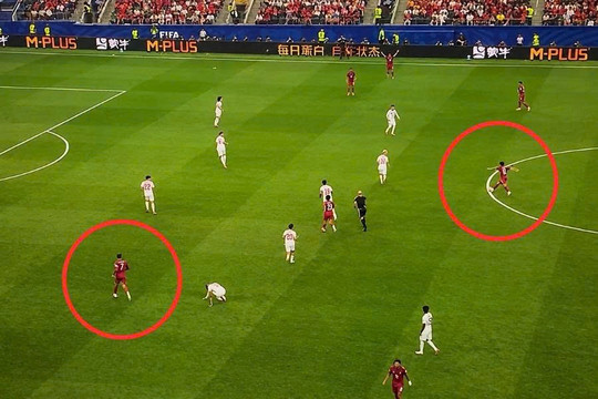 Bồ Đào Nha bị loại khỏi World Cup 2026: Tranh cãi cú ngó lơ của Vitinha với Ronaldo