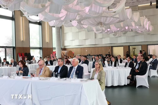 Da Nang promotes hi-tech investment cooperation with German businesses
