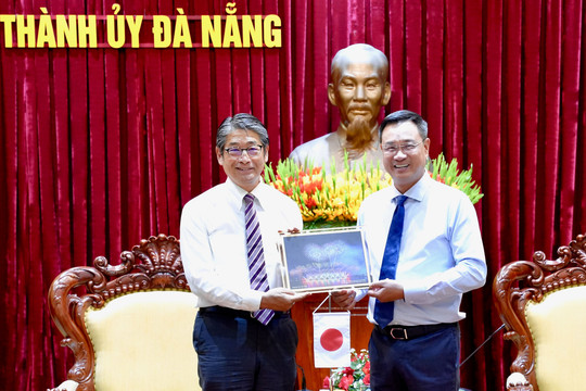 Da Nang seeks stronger Japan partnership in high-tech, finance, smart city development