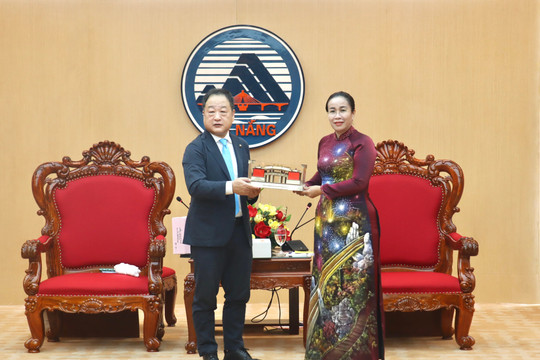 Da Nang and Japan’s Kinokawa City advance cooperation