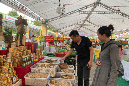Đưa nông sản Đà Nẵng vươn xa