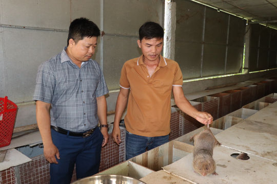 Nông dân Phú Thuận vươn lên làm giàu