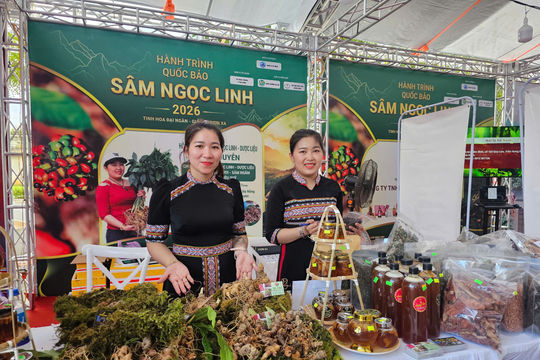 Mở lối cho sâm Ngọc Linh và dược liệu vươn xa