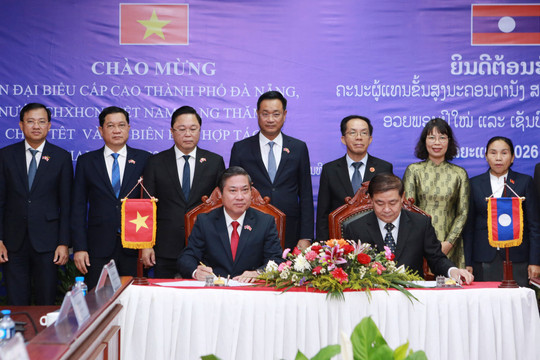 Foreign policy for Da Nang's development