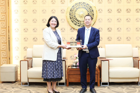 Da Nang explores bilateral cooperation opportunities with Chile
