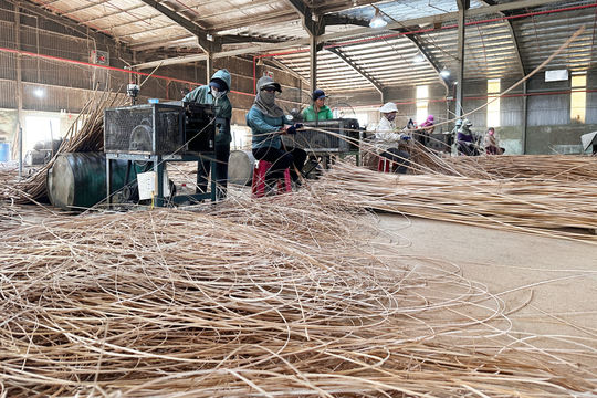 Tăng sức chống chịu cho doanh nghiệp: Xoay xở để tồn tại