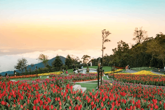 Trải nghiệm một ngày trên Bà Nà Hills