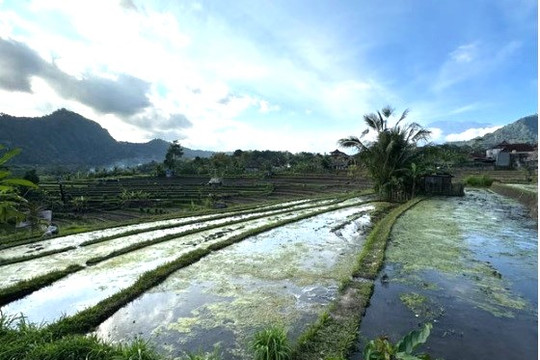 Khủng hoảng nguồn nước ở Bali