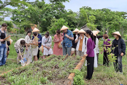 Lan tỏa xu hướng nông nghiệp bền vững