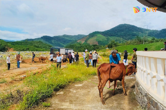 Trao sinh kế tiếp sức hộ nghèo