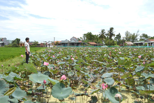 Ổn định hoạt động sau sáp nhập thôn