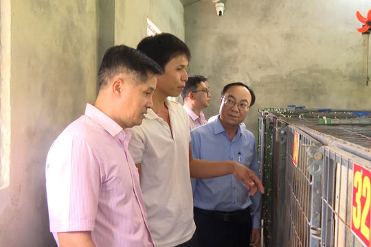 Hơn 2.000 người dân xã Thăng Trường được tiếp cận nguồn vốn chính sách, phát triển kinh tế