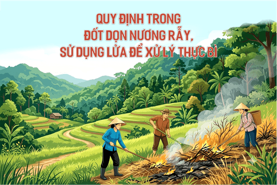 Quy định trong đốt dọn nương rẫy, sử dụng lửa để xử lý thực bì