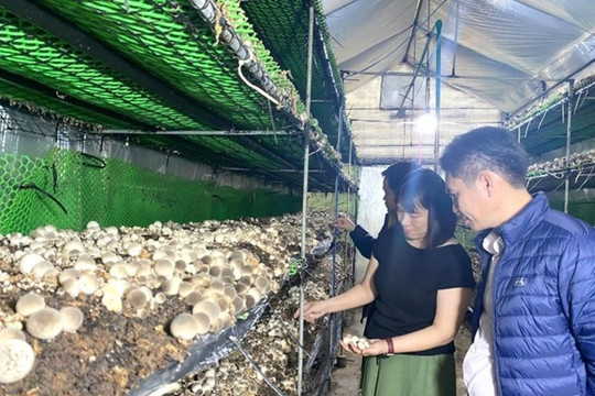 Hướng đến nền nông nghiệp hiện đại
