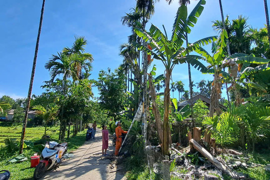 Điện lực Trà My hoàn thành đóng điện, di dời hộ dân vùng “lõm” điện tại thôn Lâm Bình Phương