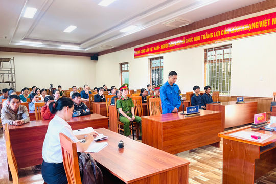 Xét xử lưu động vụ trộm sâm Ngọc Linh